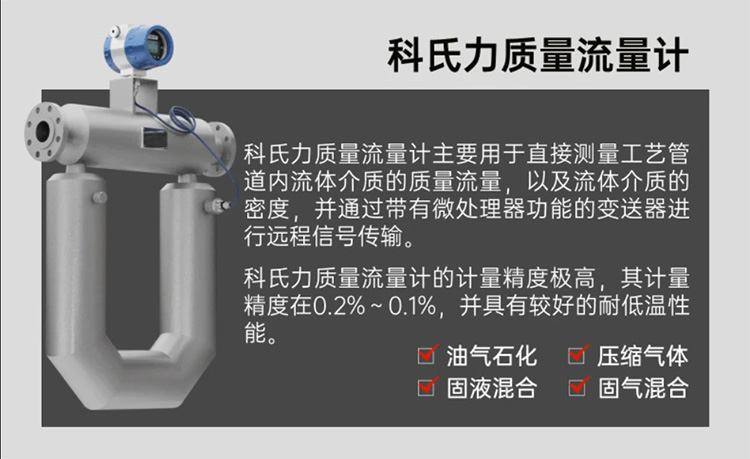 柴油質(zhì)量流量計產(chǎn)品圖