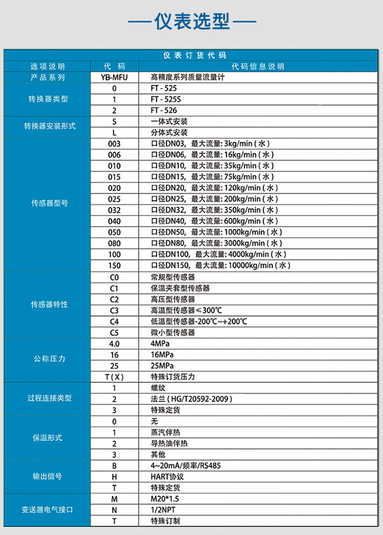 氣體質(zhì)量流量計選項表